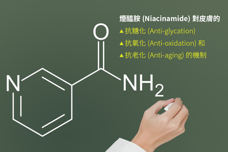 煙醯胺(Niacinamide)對皮膚的抗糖化(Anti-glycation)抗氧化(Anti-oxidation)和抗老化的機制